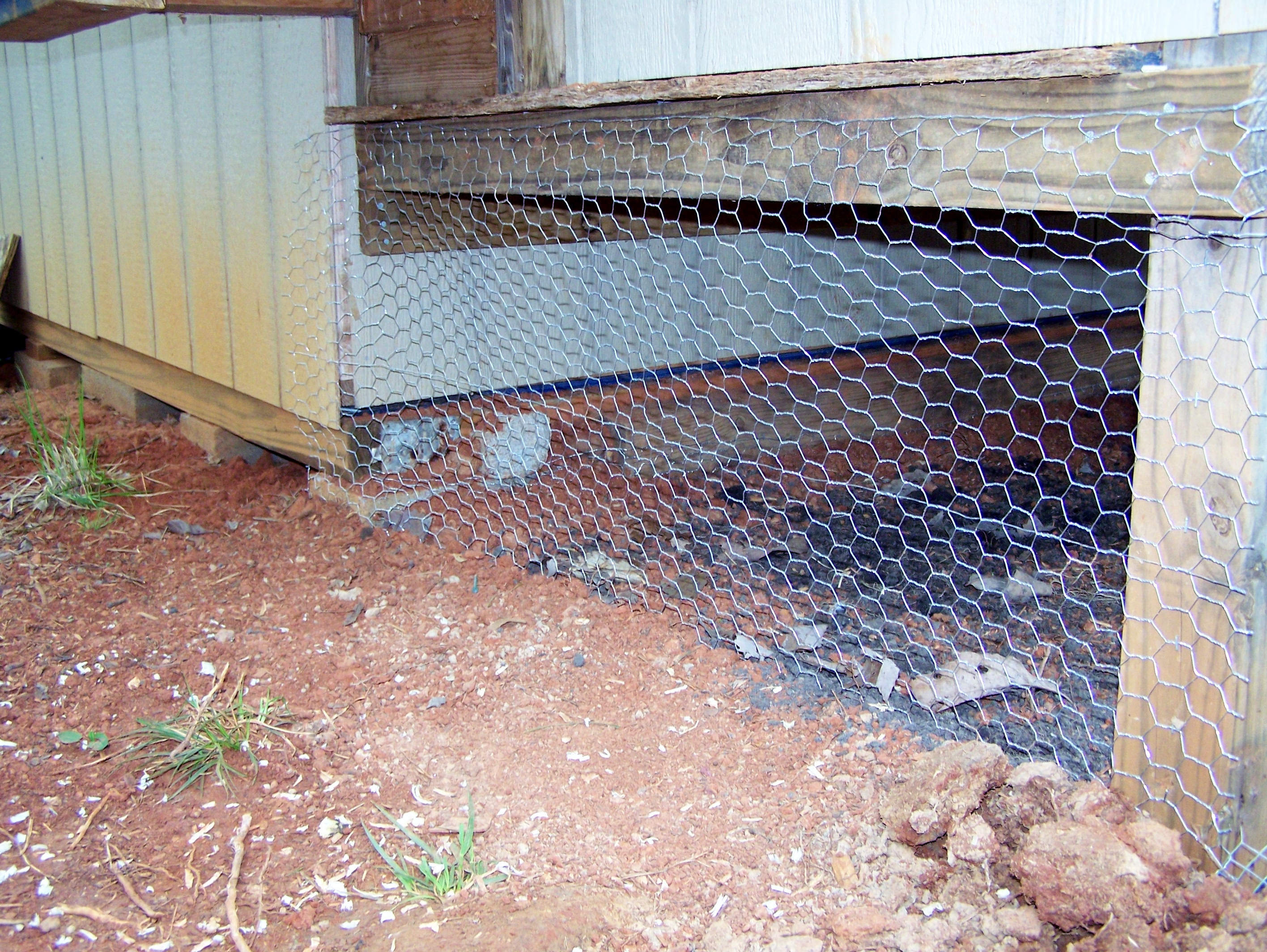 Chicken Coop And Run Progress   My Life In The Country  hardware cloth under chicken coop